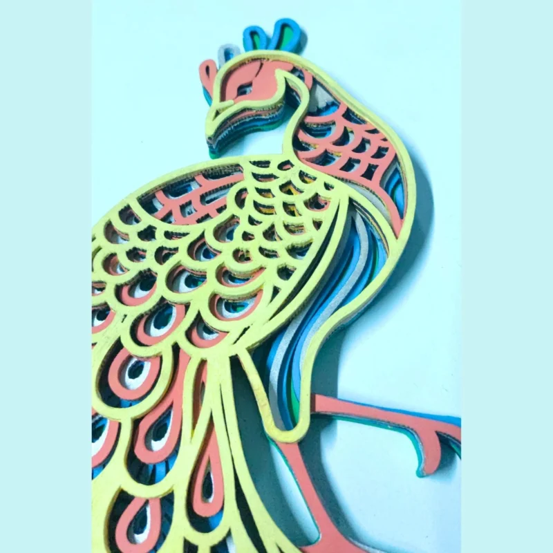 peacock6